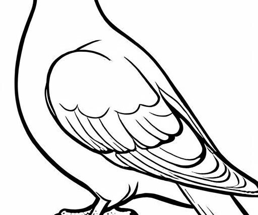 Dove Coloring Page 1 for Kids