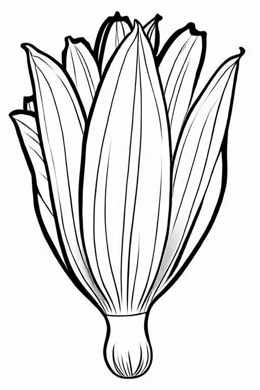 Endive Coloring Page 13 for Kids