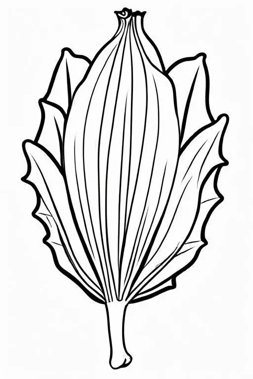 Endive Coloring Page 14 for Kids