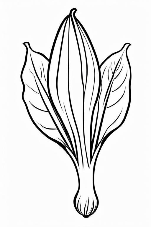 Endive Coloring Page 15 for Kids