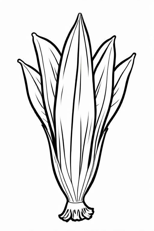 Endive Coloring Page 17 for Kids