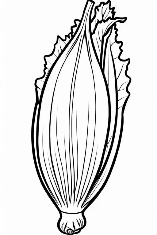 Endive Coloring Page 18 for Kids