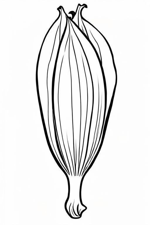 Endive Coloring Page 19 for Kids