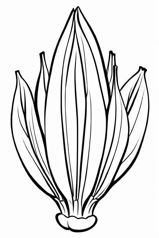 Endive Coloring Page 2 for Kids