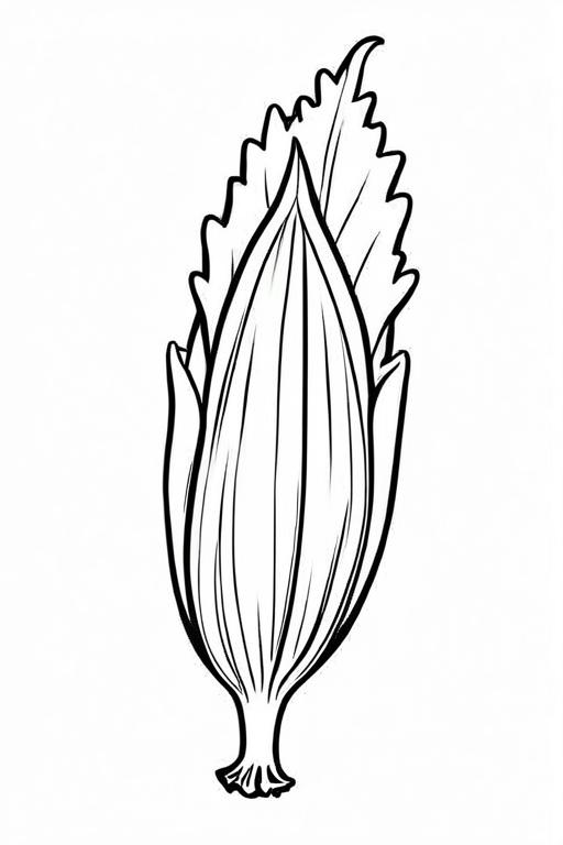 Endive Coloring Page 20 for Kids