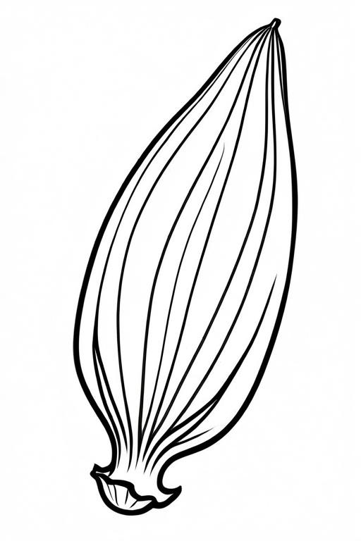 Endive Coloring Page 22 for Kids