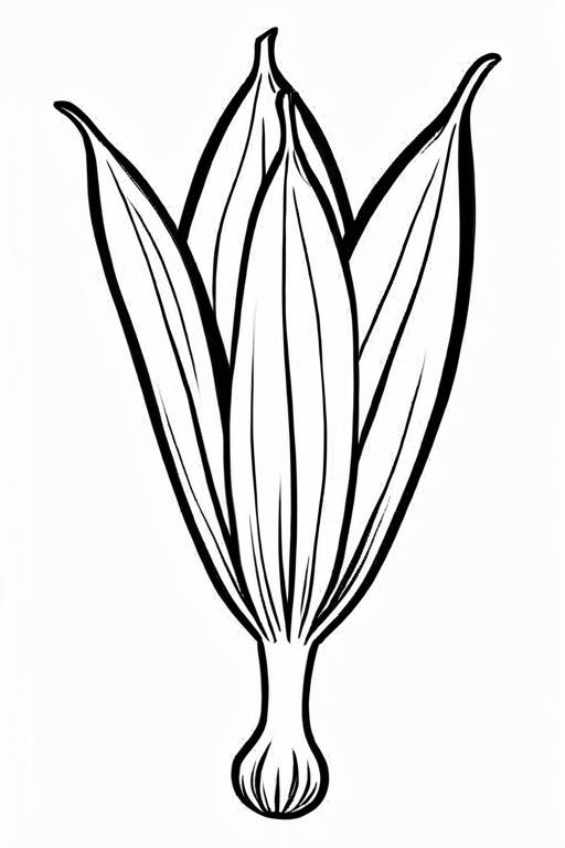 Endive Coloring Page 23 for Kids