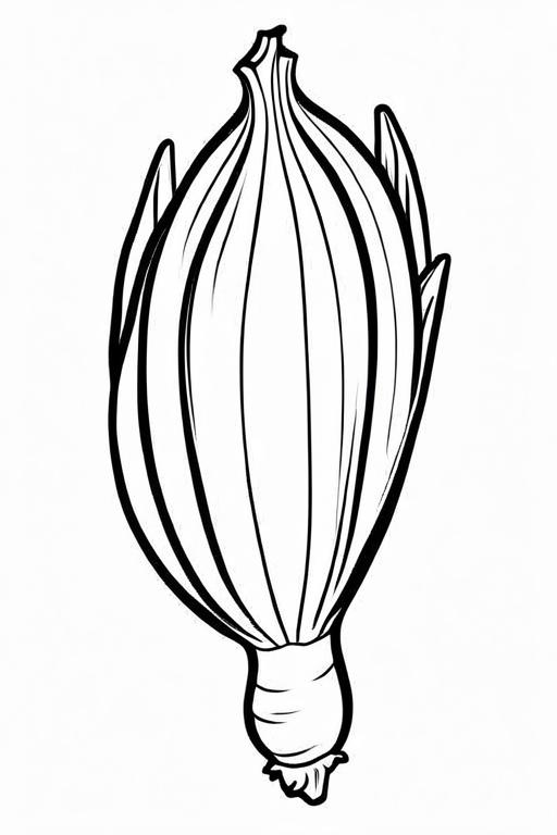 Endive Coloring Page 25 for Kids