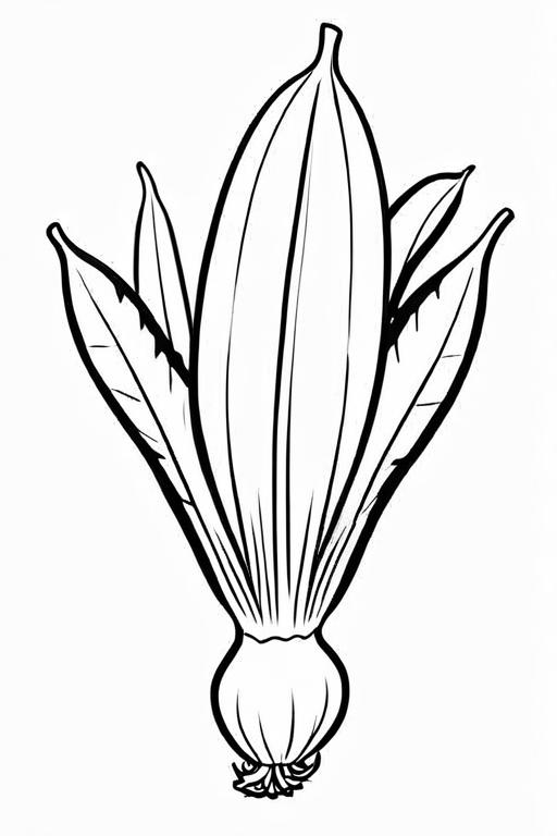 Endive Coloring Page 28 for Kids