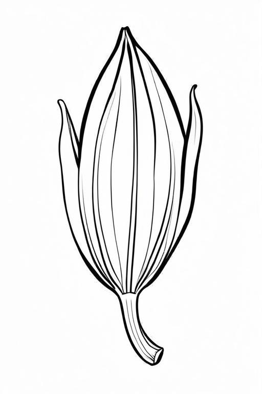 Endive Coloring Page 29 for Kids