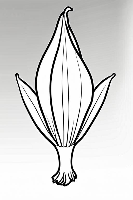 Endive Coloring Page 3 for Kids