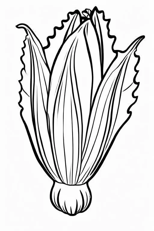 Endive Coloring Page 30 for Kids