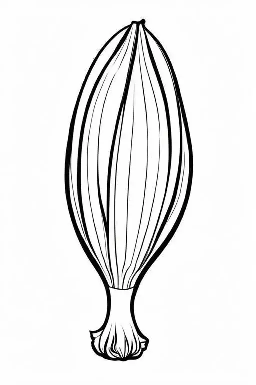 Endive Coloring Page 6 for Kids