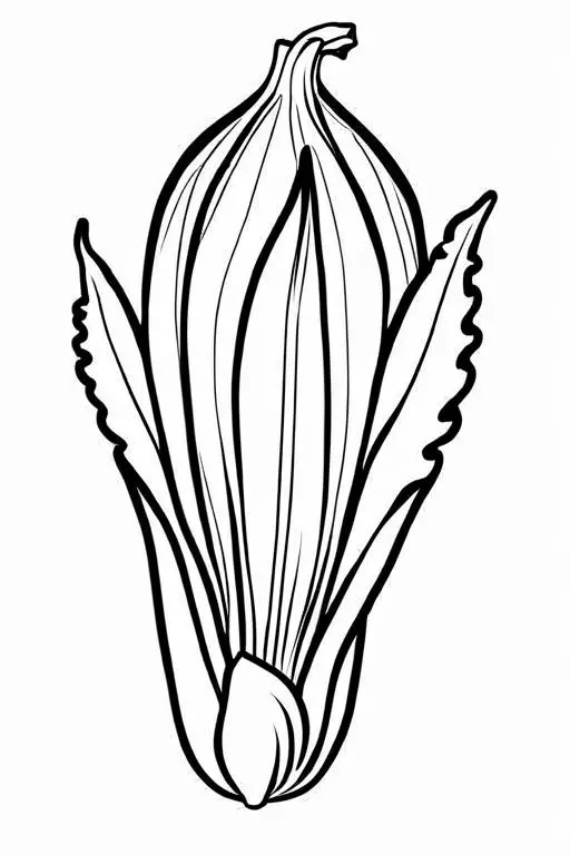 Endive Coloring Page 8 for Kids