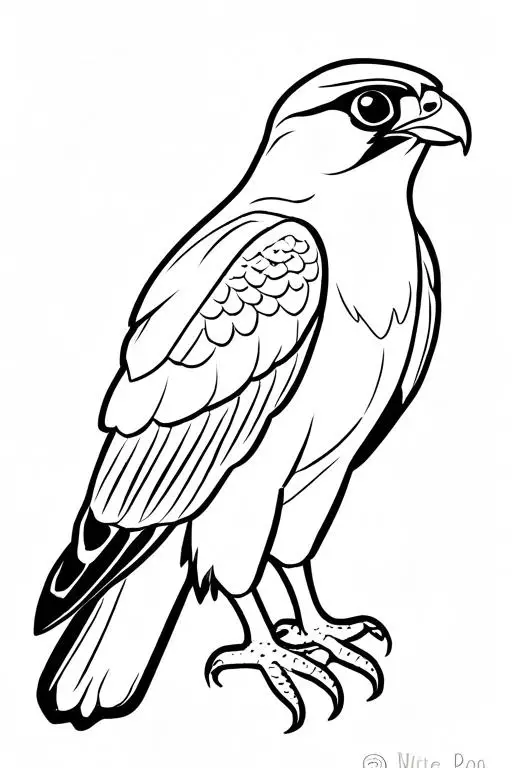 Falcon Coloring Page 32 for Kids