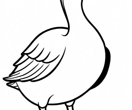 Goose Coloring Page 1 for Kids