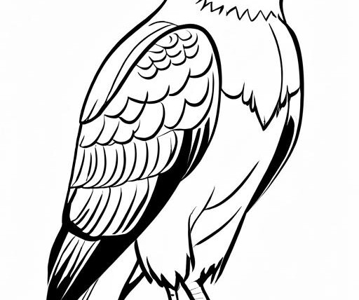 Hawk Coloring Page 1 for Kids