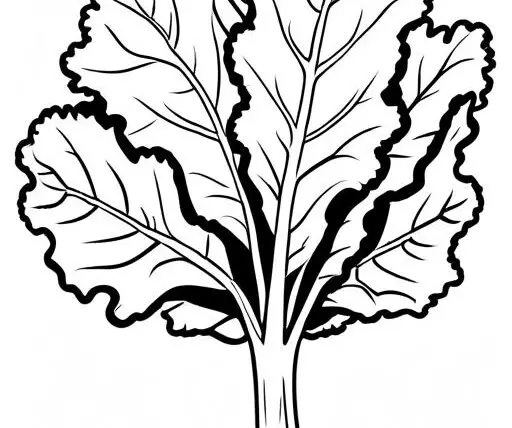 Kale Coloring Page 1 for Kids