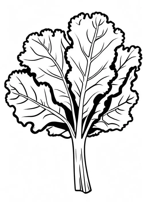 Kale Coloring Page 1 for Kids