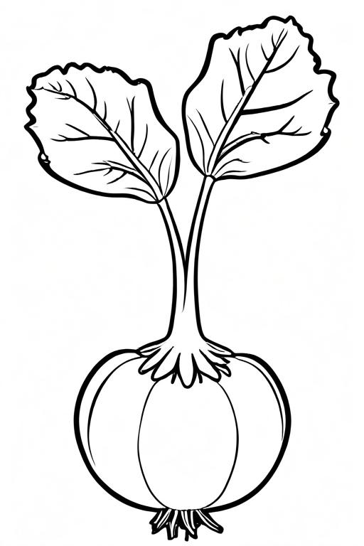 Kohlrabi Coloring Page 11 for Kids