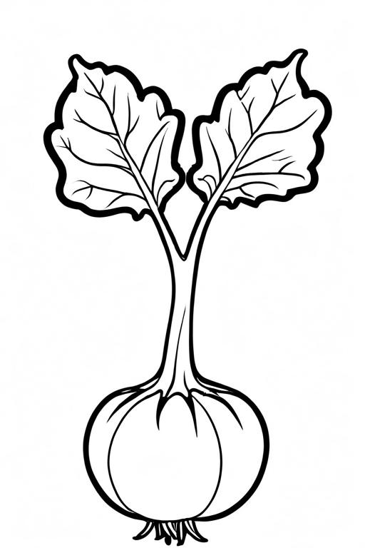 Kohlrabi Coloring Page 13 for Kids