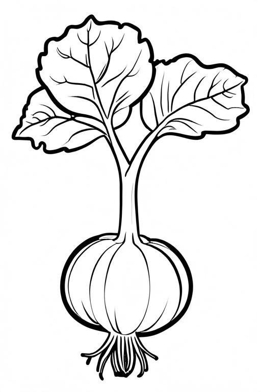 Kohlrabi Coloring Page 14 for Kids