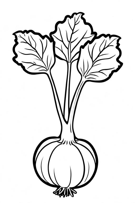 Kohlrabi Coloring Page 35 for Kids