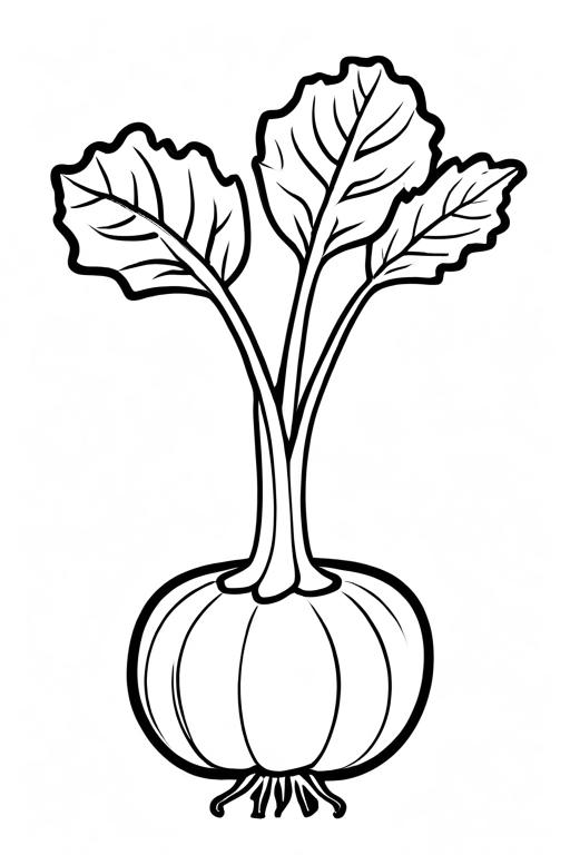 Kohlrabi Coloring Page 48 for Kids