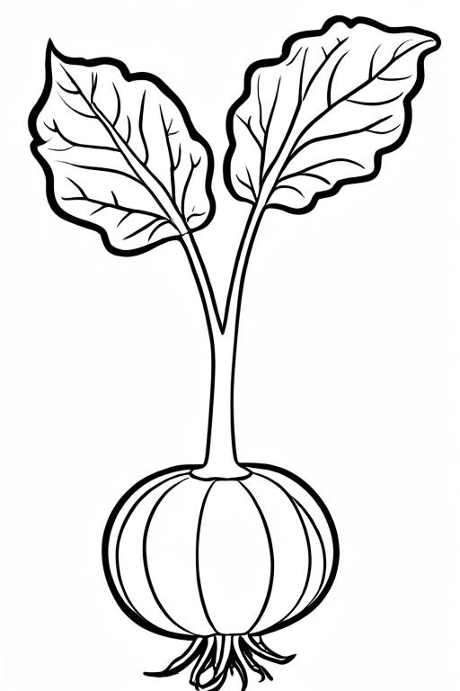 Kohlrabi Coloring Page 51 for Kids