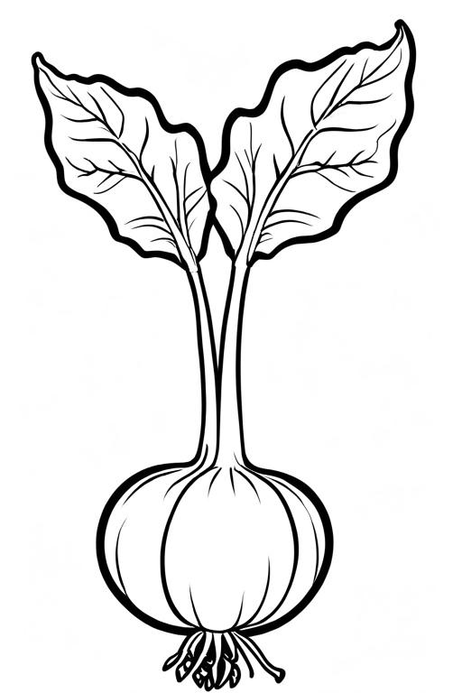 Kohlrabi Coloring Page 55 for Kids