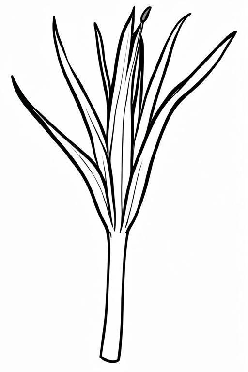 Leek Coloring Page 2 for Kids