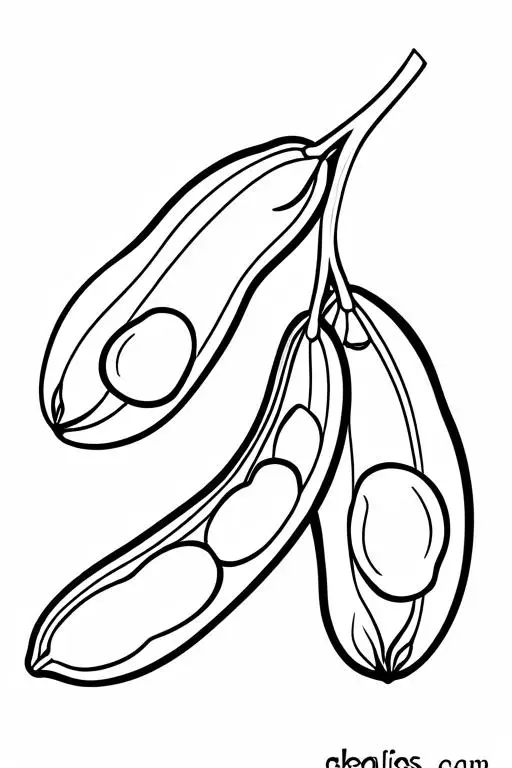 Lima Coloring Page 24 for Kids