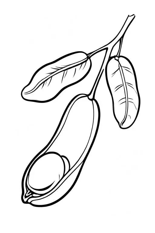 Lima Coloring Page 33 for Kids