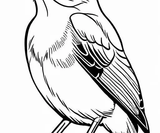 Mockingbird Coloring Page 1 for Kids