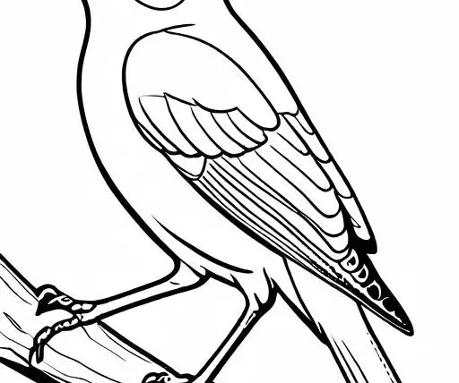 Nightingale Coloring Page 1 for Kids