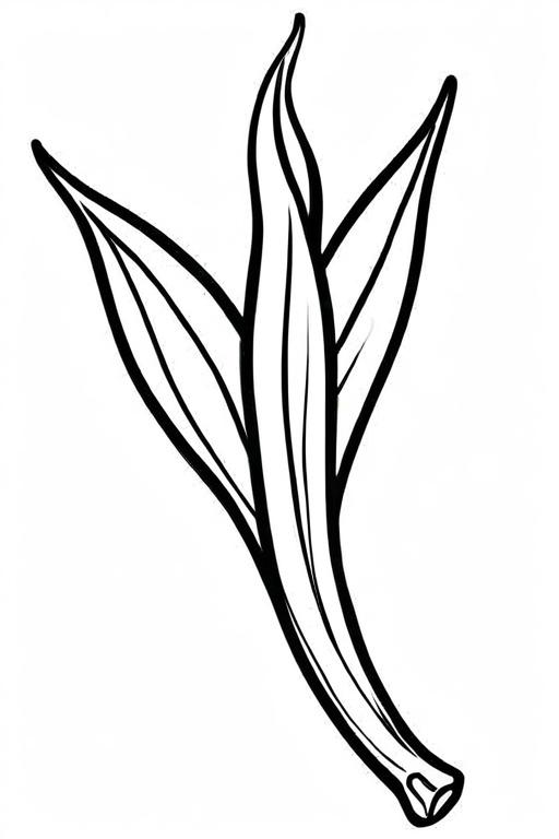 Okra Coloring Page 24 for Kids