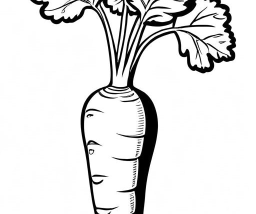 Parsnip Coloring Page 1 for Kids