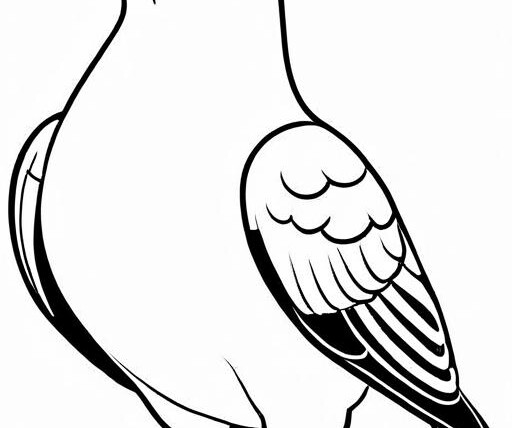 Pigeon Coloring Page 1 for Kids