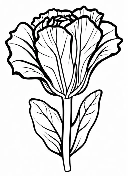 Radicchio Coloring Page 1 for Kids