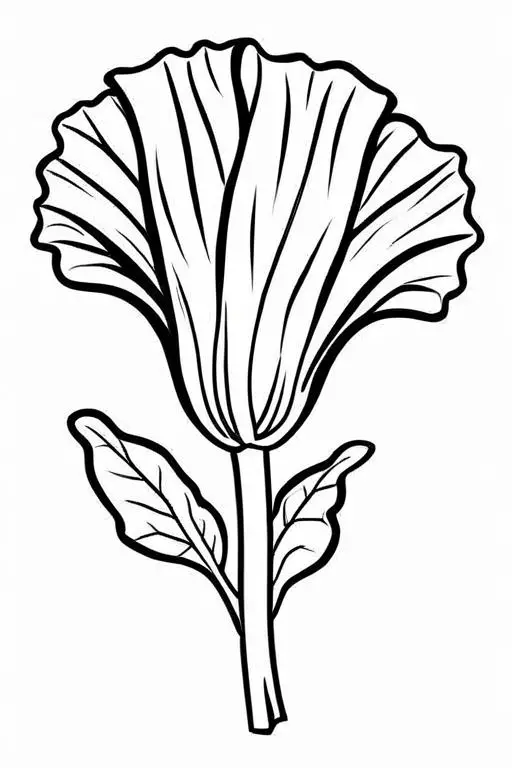 Radicchio Coloring Page 14 for Kids