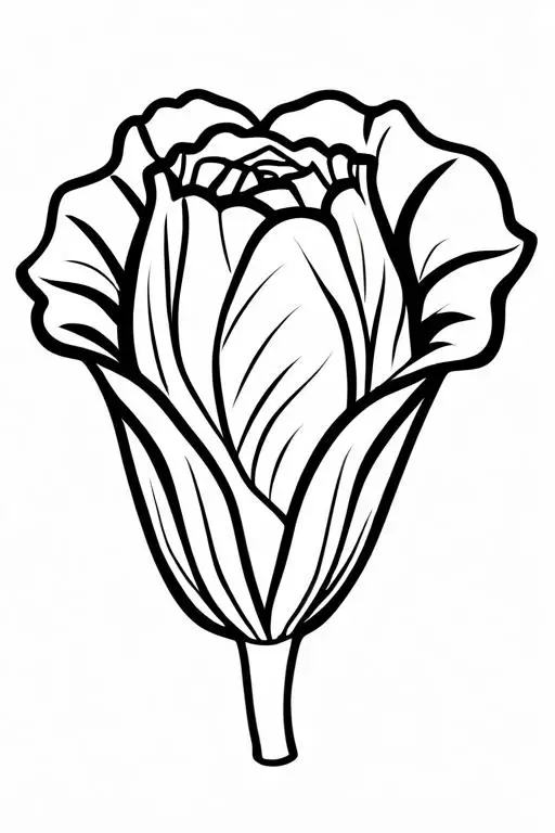 Radicchio Coloring Page 22 for Kids