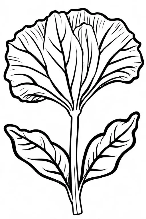 Radicchio Coloring Page 8 for Kids