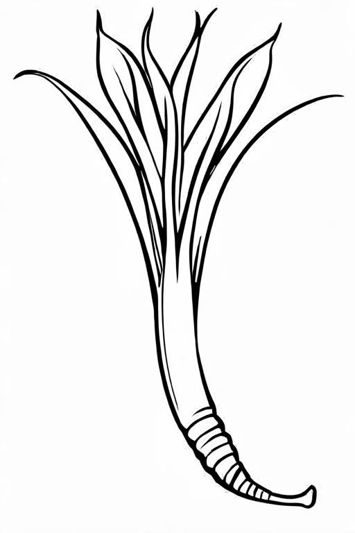 Scallion Coloring Page 17 for Kids