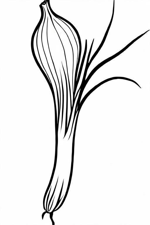 Scallion Coloring Page 18 for Kids