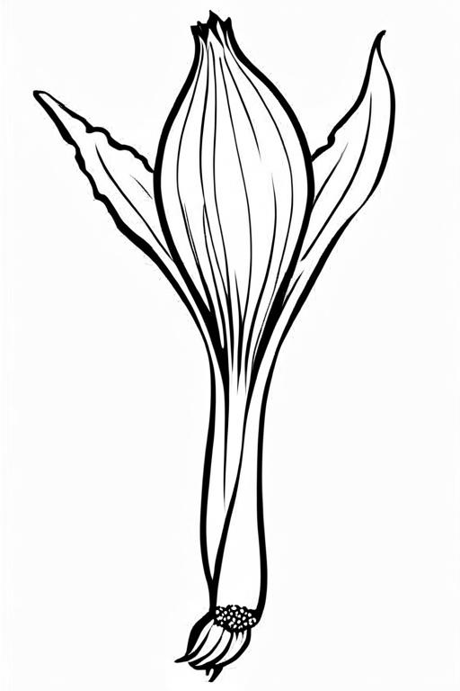 Scallion Coloring Page 19 for Kids