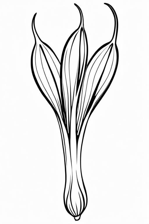 Scallion Coloring Page 25 for Kids