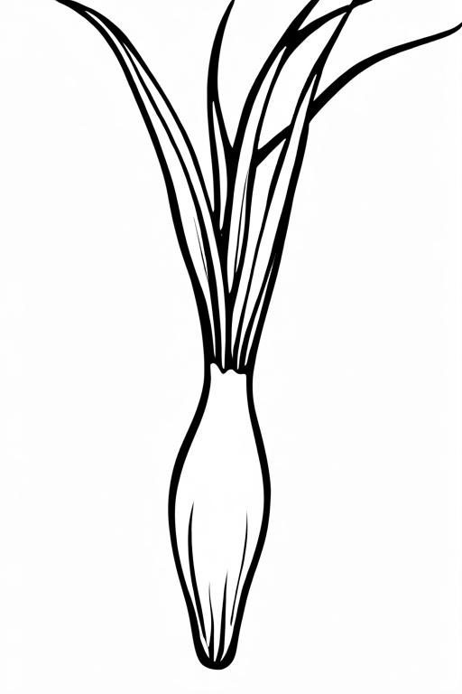 Scallion Coloring Page 29 for Kids