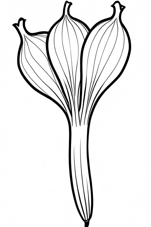 Scallion Coloring Page 35 for Kids