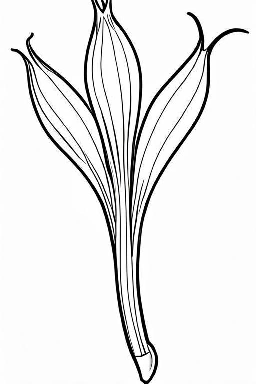 Scallion Coloring Page 37 for Kids