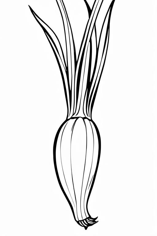 Scallion Coloring Page 38 for Kids